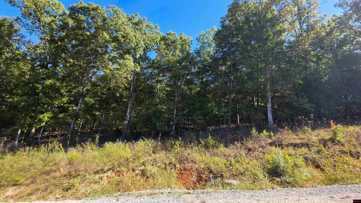 719 CR 615, Mountain Home, AR 72653 - #1