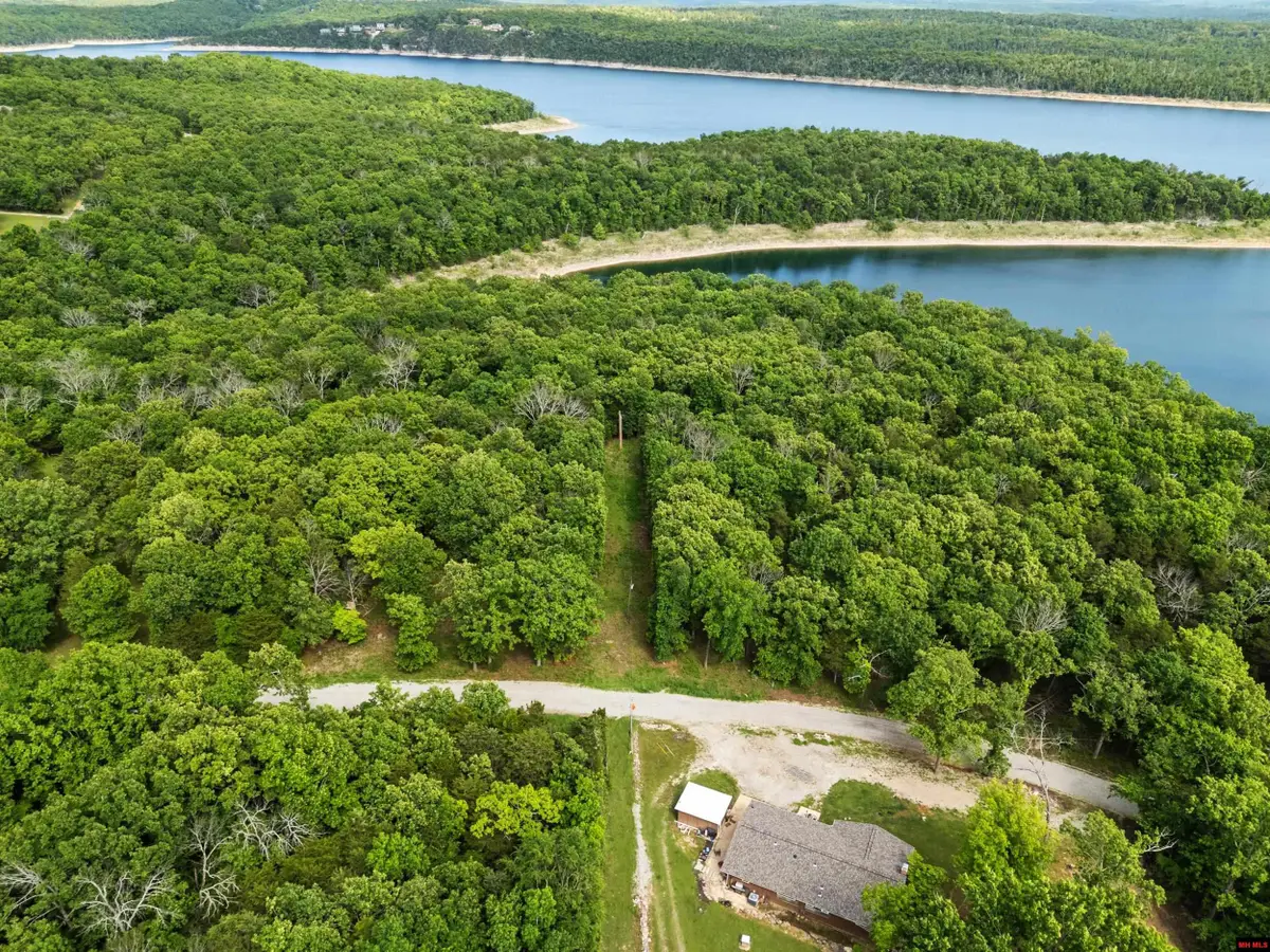 002-10045-029 SYCAMORE SPRINGS CIRCLE, Mountain Home, AR 72653 - #1