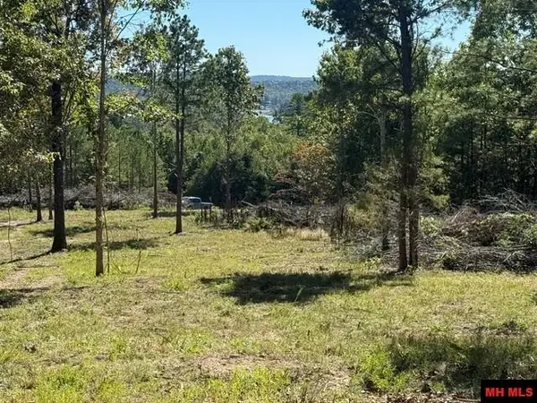 780 FOXCROFT LANE, Elizabeth, AR 72531