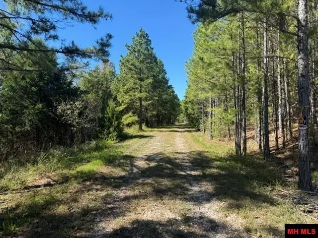 780 FOXCROFT LANE, Elizabeth, AR 72531 - #2