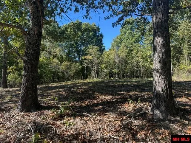 780 FOXCROFT LANE, Elizabeth, AR 72531 - #3