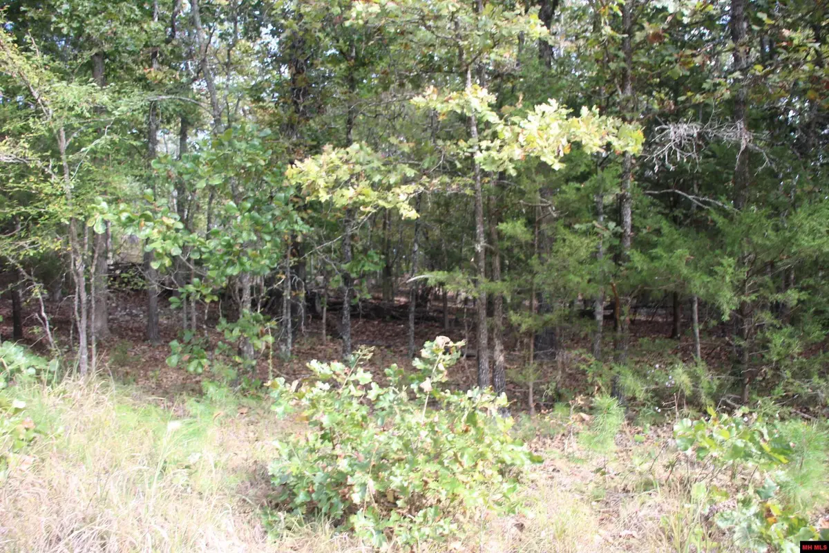 001-05119-001 DAYBREAK LANE, Yellville, AR 72687 - #1