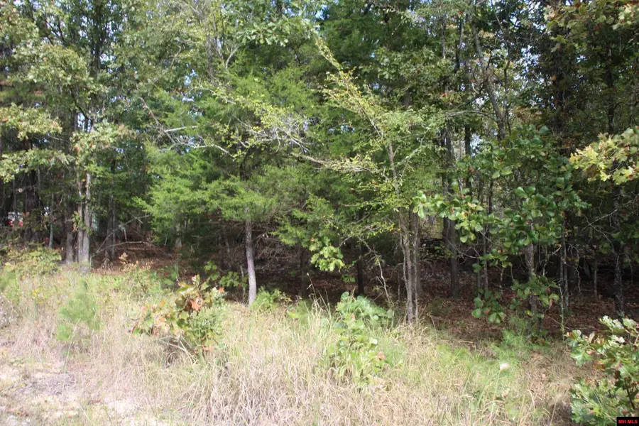 001-05119-001 DAYBREAK LANE, Yellville, AR 72687 - #2