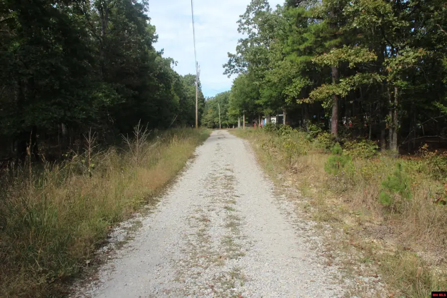 001-05119-001 DAYBREAK LANE, Yellville, AR 72687 - #3