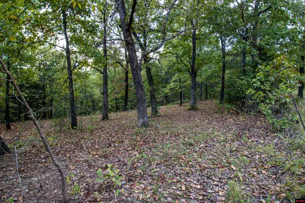 337 CR 1419, Mountain Home, AR 72653