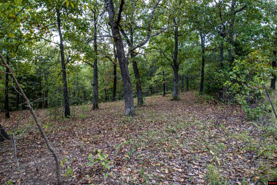 337 CR 1419, Mountain Home, AR 72653 - #2