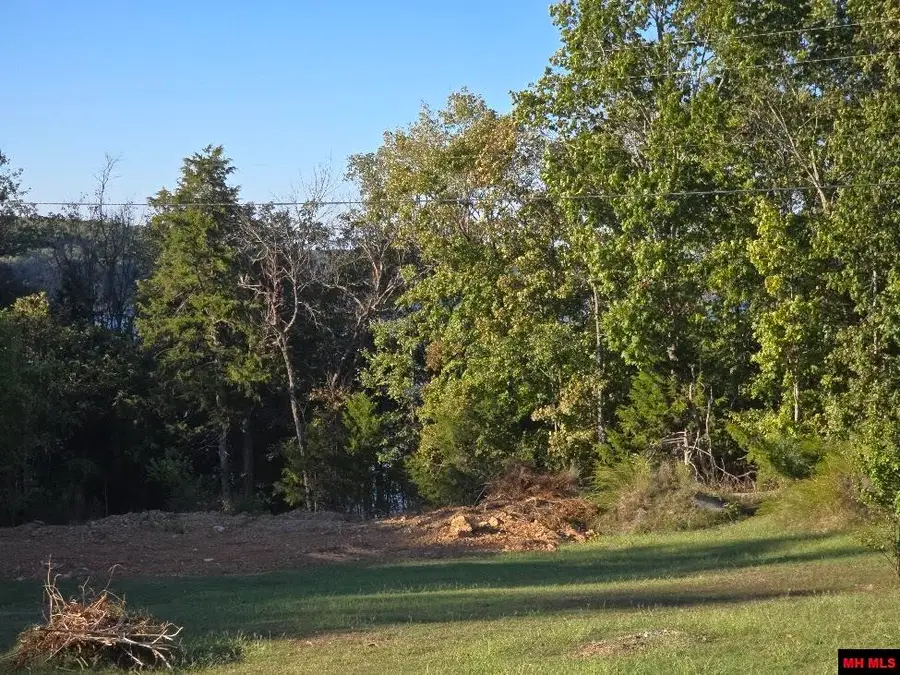 760-24339-013 FERNCLIFF POINT, Bull Shoals, AR 72619 - #2