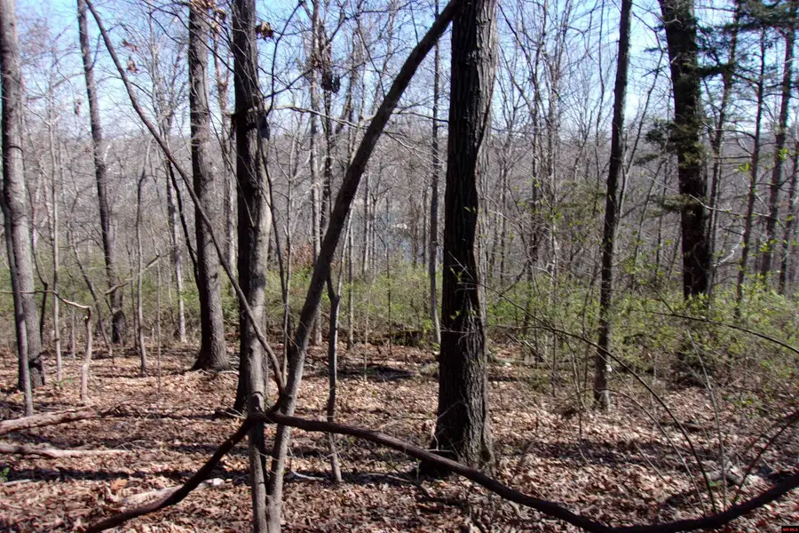 760-19129-000 ALFORD DRIVE, Bull Shoals, AR 72619 - #2