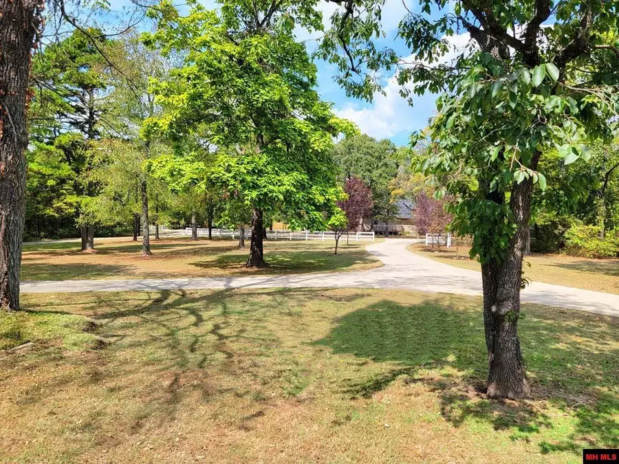 180 OAK TREE TERRACE, Mountain Home, AR 72653 - #3