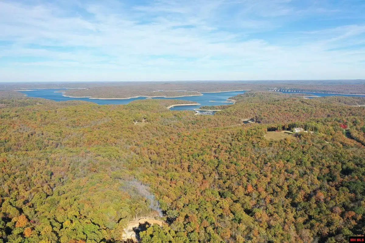 010-11219-046 SWISS ALPS LANE, Mountain Home, AR 72653 - #1