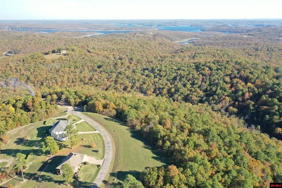 010-11219-046 SWISS ALPS LANE, Mountain Home, AR 72653 - #3