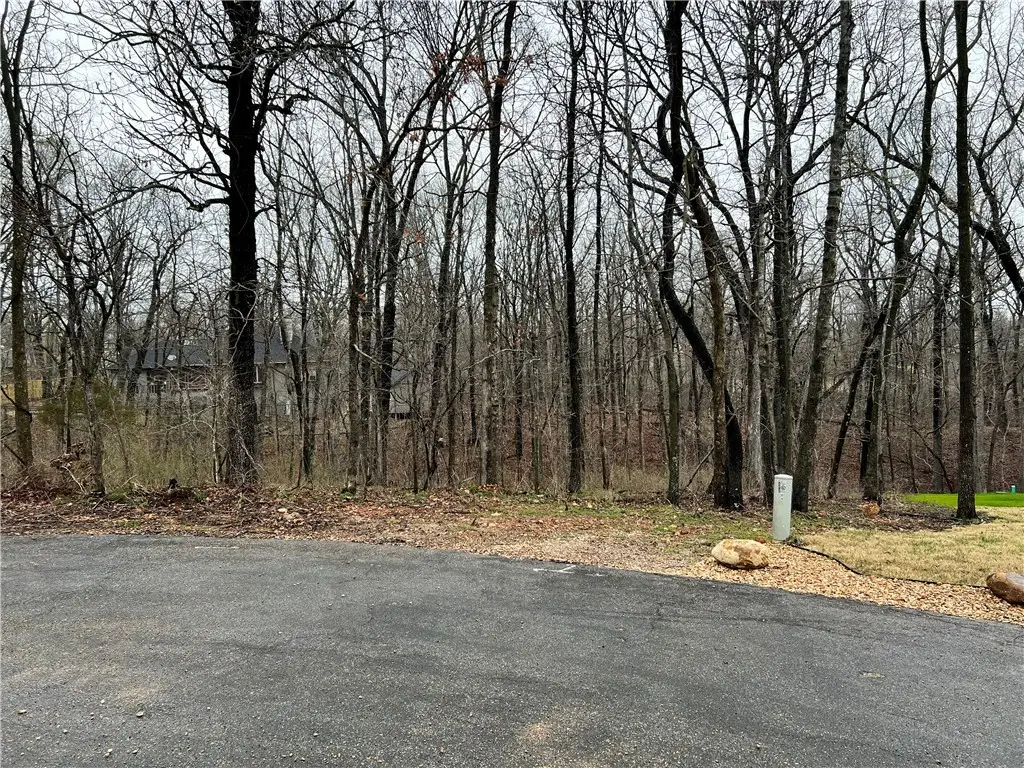 Lot 6 Mcelroy Lane, Bella Vista, AR 72715 - #1