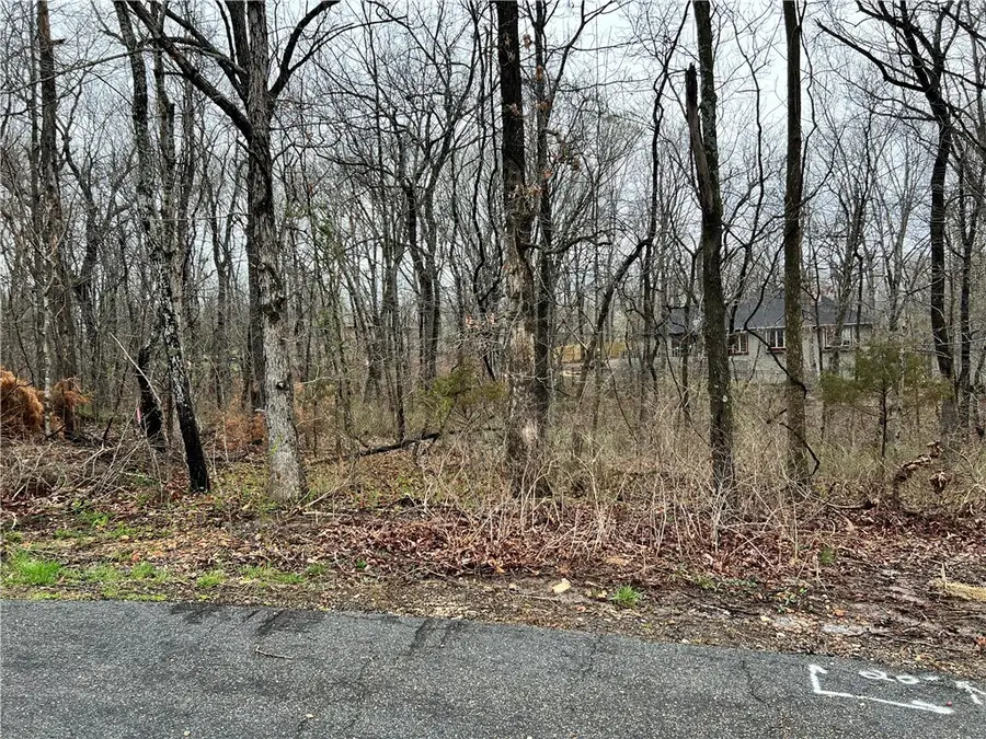 Lot 6 Mcelroy Lane, Bella Vista, AR 72715 - #3