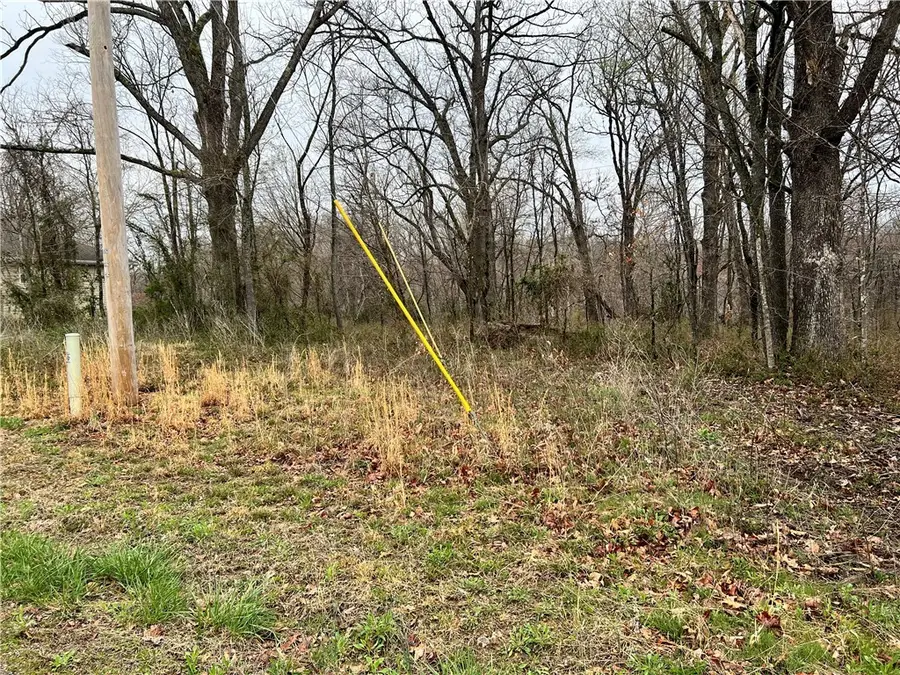 Lot 14 Doon Circle, Bella Vista, AR 72715 - #3