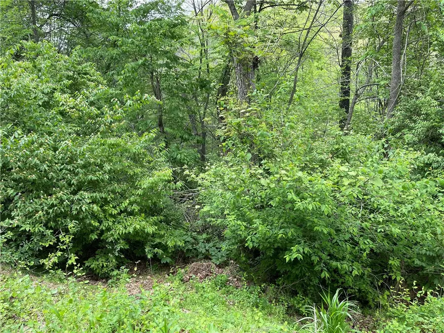 Address Withheld By Seller, Rogers, AR 72758 - #3