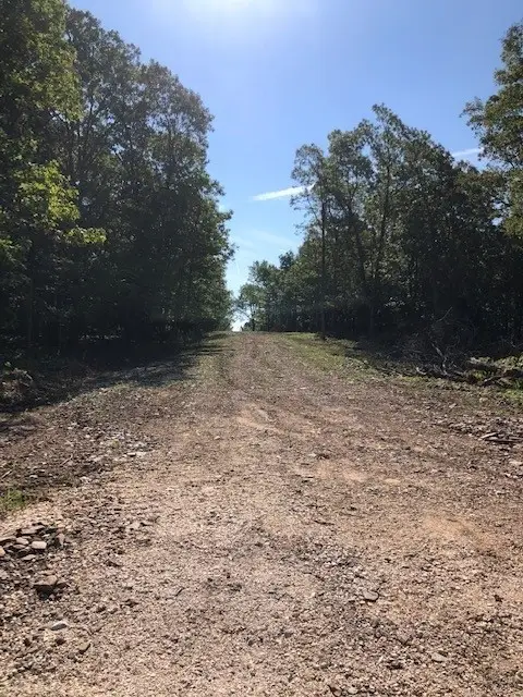 14516 Friendship Church Road, West Fork, AR 72774 - Image #3