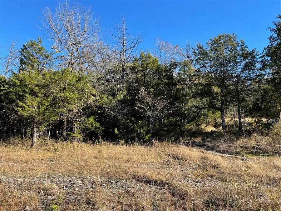 40 Danube Drive, Holiday Island, AR 72631 - Image #2