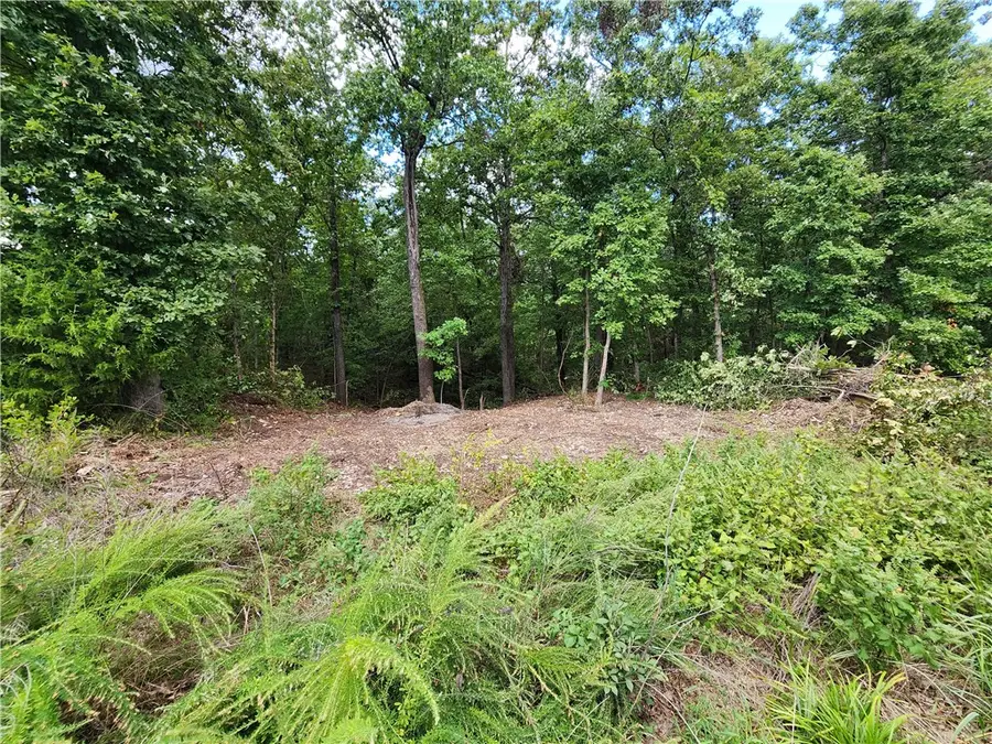 Lot 7 Worth Place, Bella Vista, AR 72715 - #3