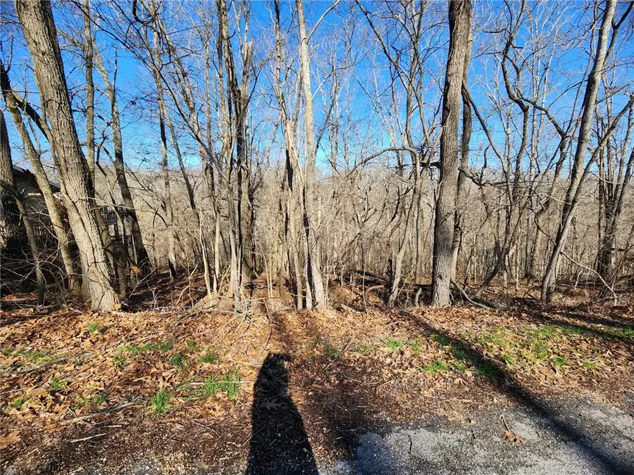 Lot 22 Chelmsworth Drive, Bella Vista, AR 72715 - #3