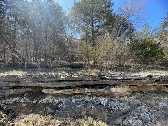 194 Table Rock Drive, Holiday Island, AR 72631 - Image #1