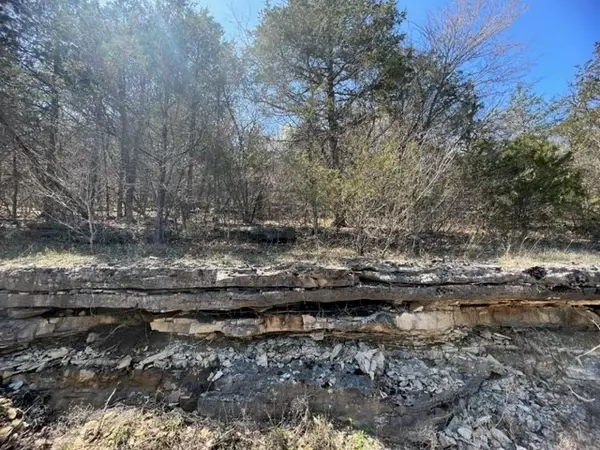 194 Table Rock Drive, Holiday Island, AR 72631