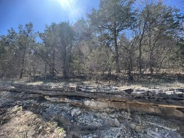 194 Table Rock Drive, Holiday Island, AR 72631 - Image #3