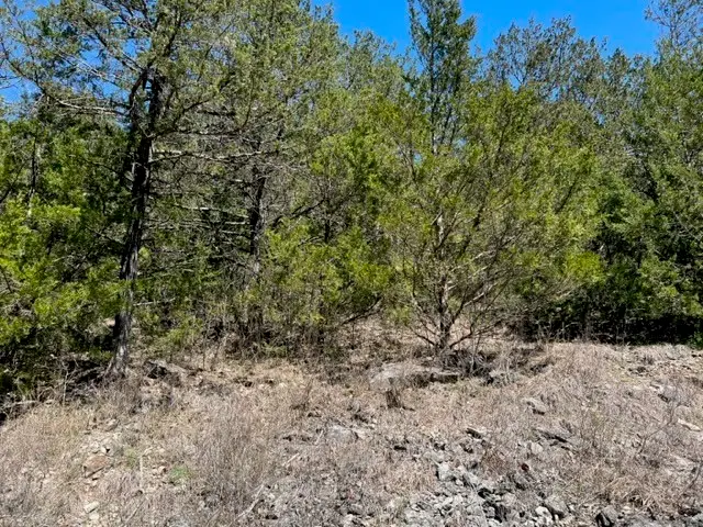 20 Valley Drive, Holiday Island, AR 72631 - Image #2