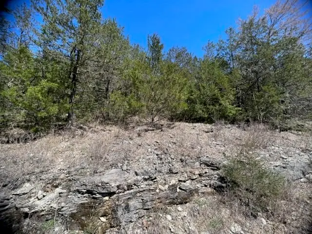 20 Valley Drive, Holiday Island, AR 72631 - Image #3