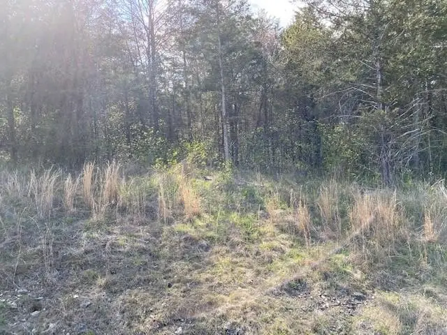 119 Thunderbird Drive #7, Holiday Island, AR 72631 - Image #2