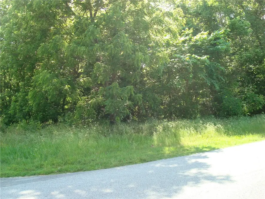 Walney Drive, Bella Vista, AR 72715 - #3