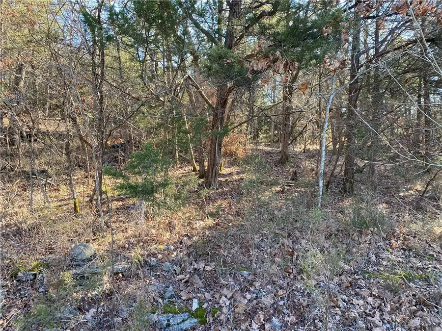 14 Hillside Drive #10, Holiday Island, AR 72631 - Image #2