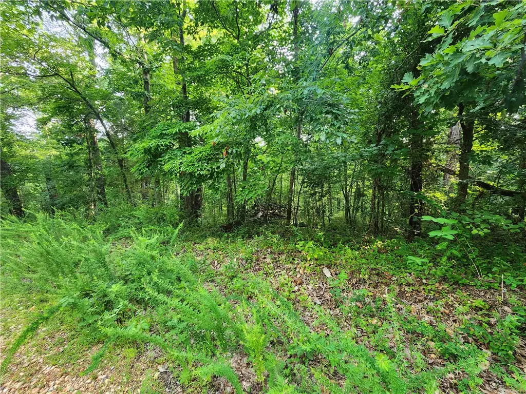 Lot#1 Devonshire Drive, Bella Vista, AR 72715 - #1