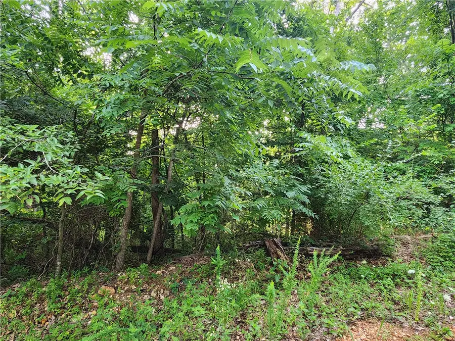 Lot #2 Devonshire Drive, Bella Vista, AR 72715 - #3