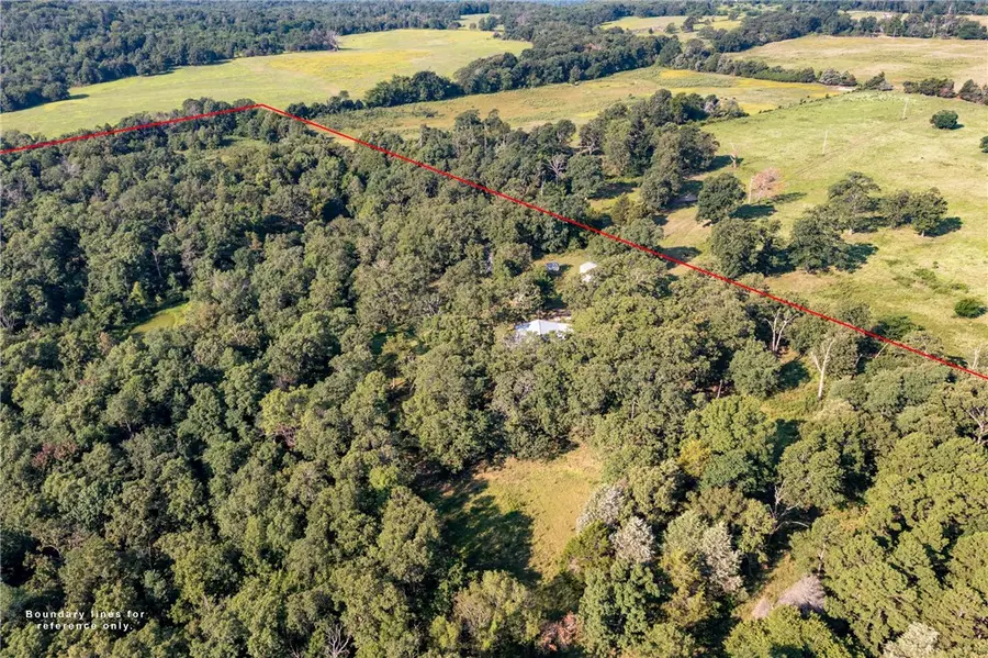 22132 Ray Wc 4425 Road, Vineyard, AR 72948 - #2