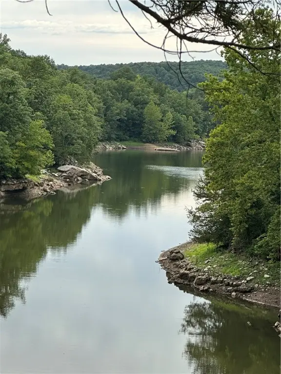 Tract 12 Dawn Kimberly- Cr1486 Road, Eureka Springs, AR 72632 - Image #3