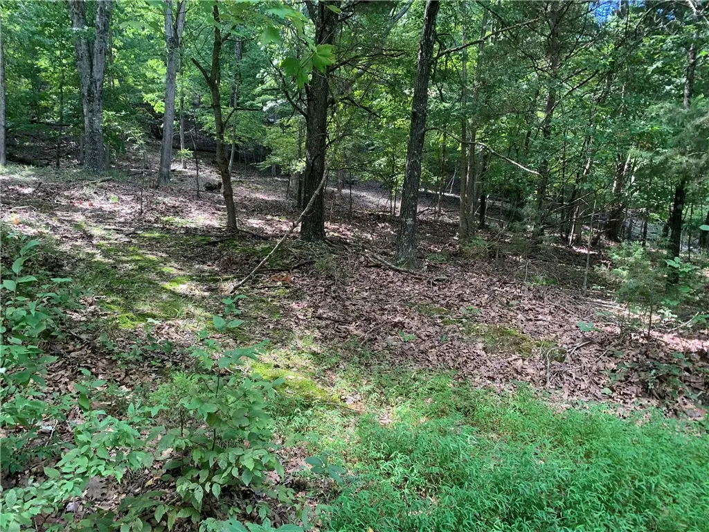 21580 Indian Creek Drive, Garfield, AR 72732 - Image #1