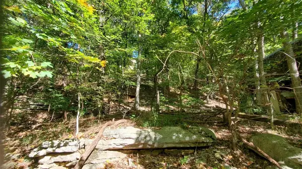 47 Cove Lane, Holiday Island, AR 72631