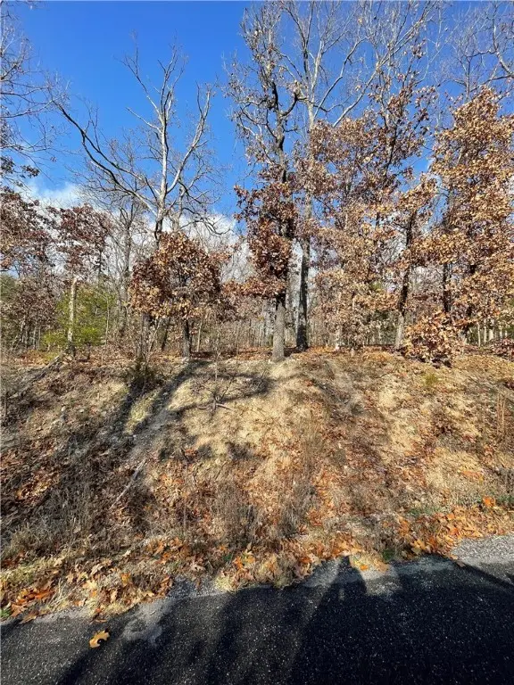 Lot 17 Amble Drive, Bella Vista, AR 72714 - #2