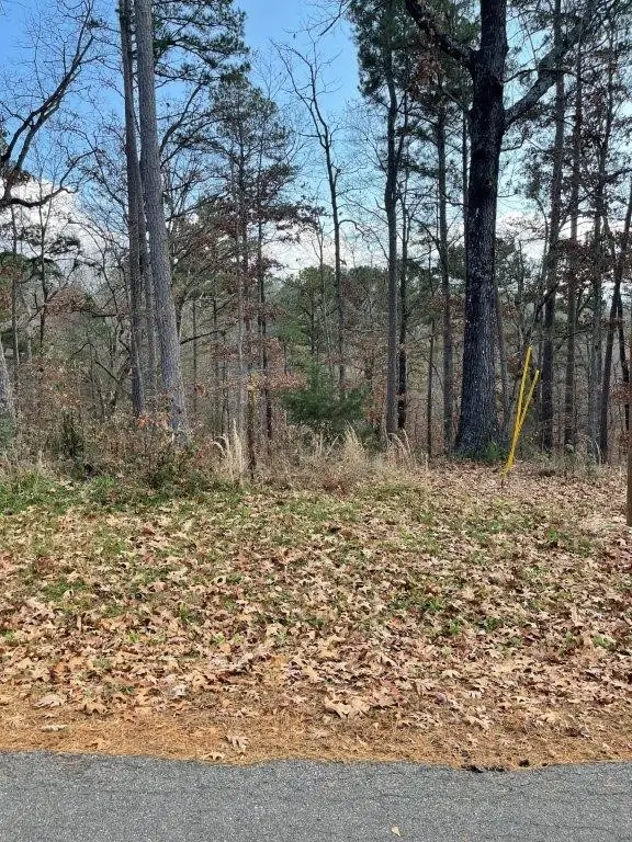 Lot 35 Fleetwood Drive, Bella Vista, AR 72714 - #3