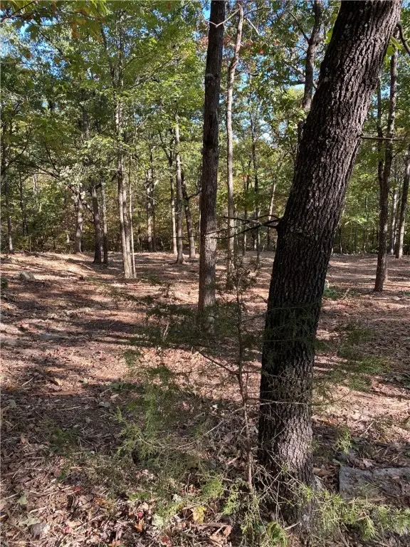 0000- Hwy 170 Devils Den W Hwy 170, West Fork, AR 72774 - Image #3