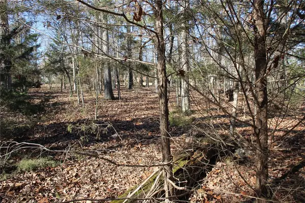 001 TBD Versailles Drive, Bull Shoals, AR 72619