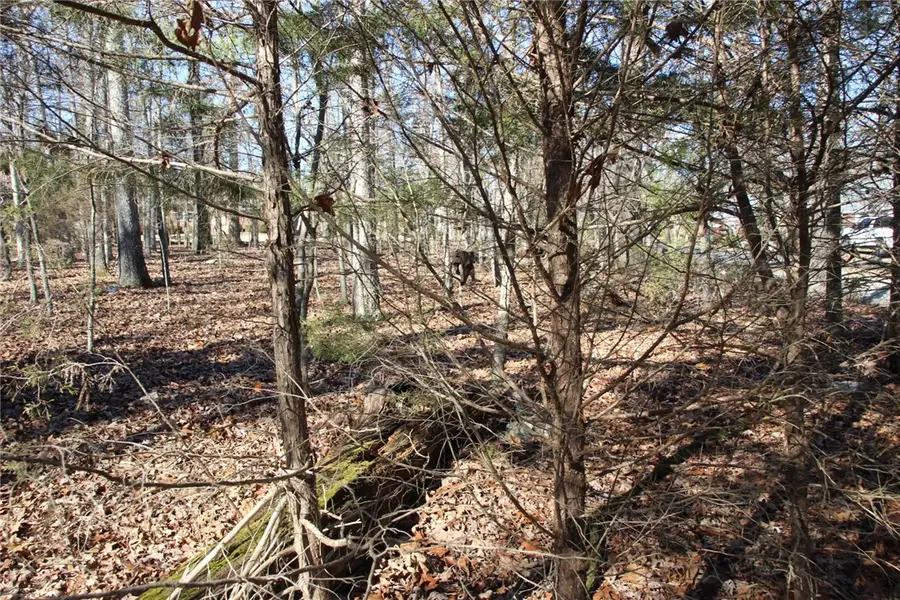 001 TBD Versailles Drive, Bull Shoals, AR 72619 - #2