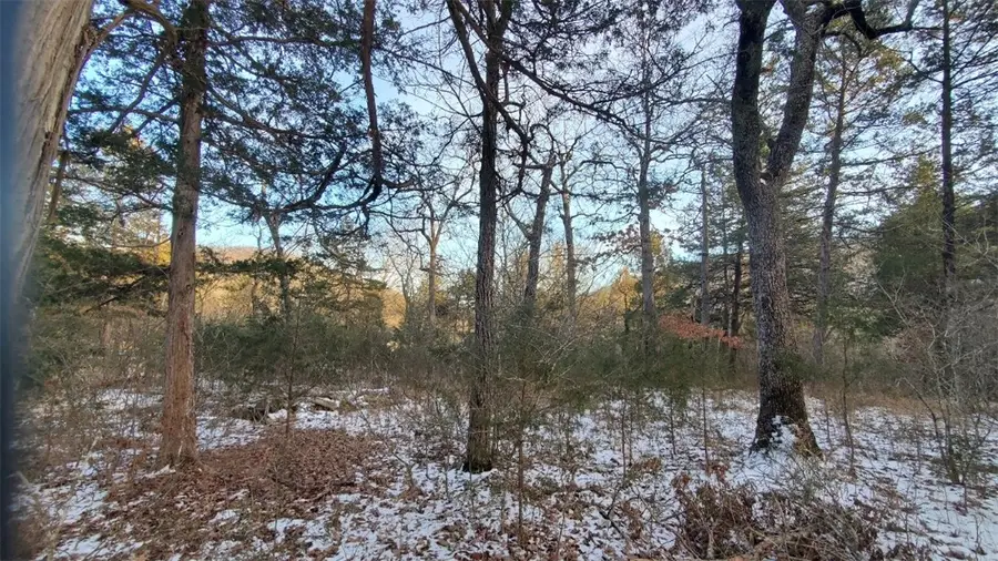 34 Dove Lane, Holiday Island, AR 72631 - Image #2