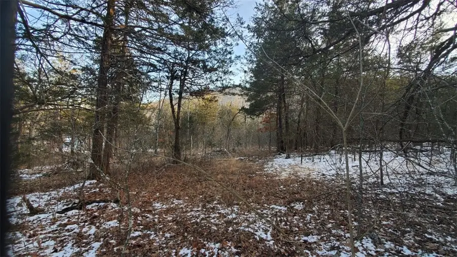 34 Dove Lane, Holiday Island, AR 72631 - Image #3