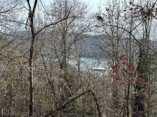 101 Amity Way, Eureka Springs, AR 72632 - Image #1