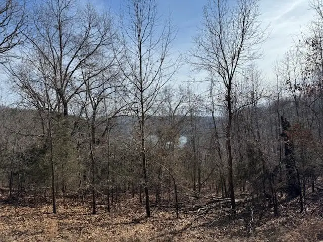 101 Amity Way, Eureka Springs, AR 72632 - Image #2