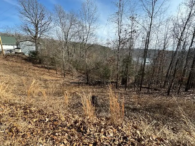 101 Amity Way, Eureka Springs, AR 72632 - Image #3