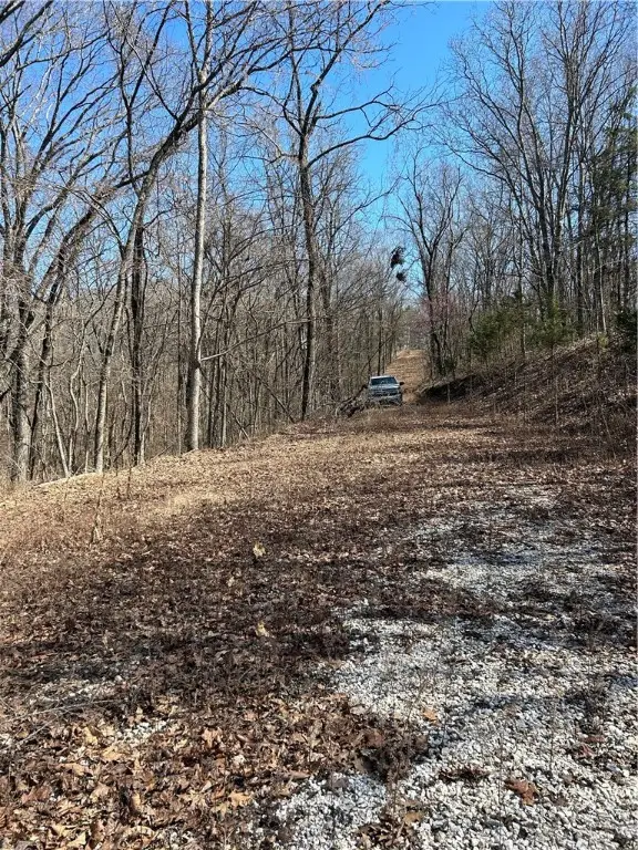 Highland Lake Drive, Garfield, AR 72732 - Image #3