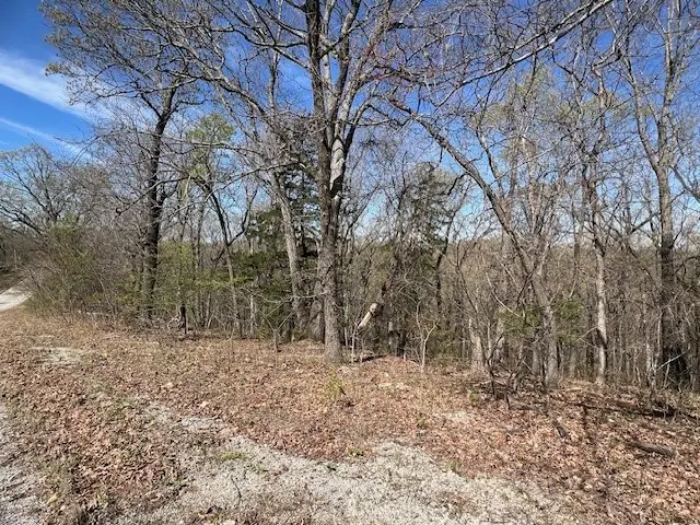 22 Pyramid Lane, Holiday Island, AR 72631 - Image #3