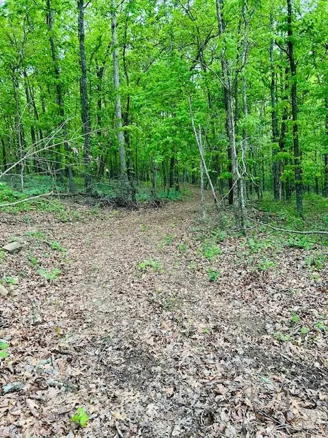 Tract A Madison Cr 5450, Elkins, AR 72727 - Image #3